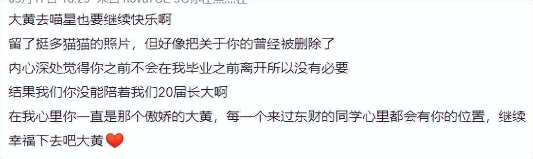 东北财经大学发讣告,东北财经大学为猫发讣告