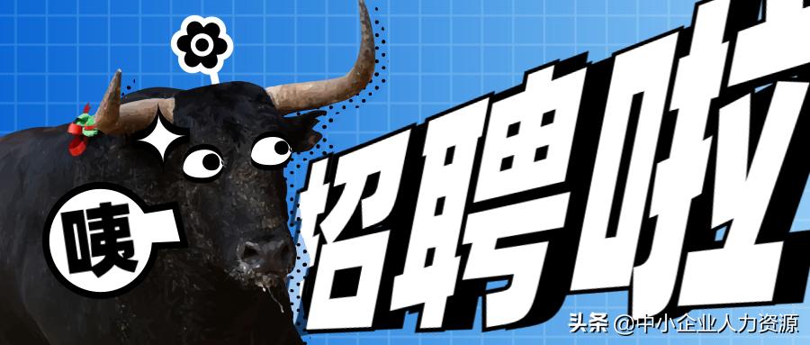 猎头岗位招聘时间,国内高级岗位猎头推荐