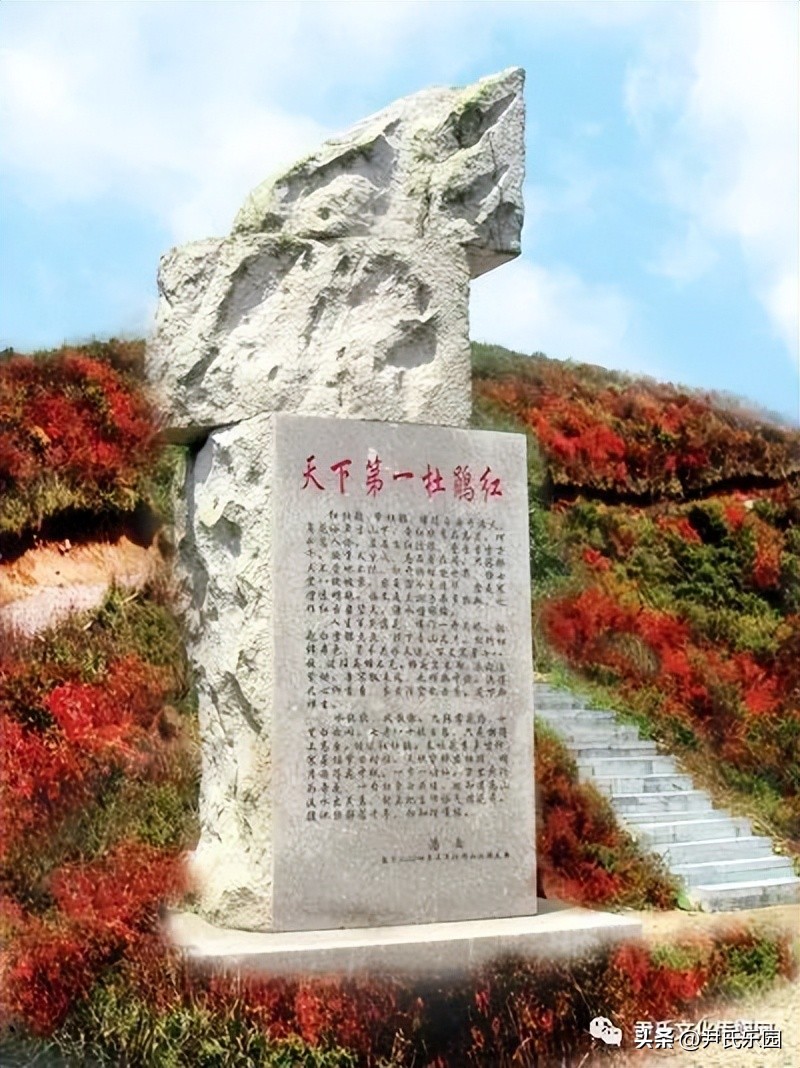 和美阳明·盛世花开：天下第一“和山”