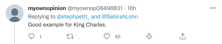 丹麦女王废除四个孙辈头衔,丹麦女王减少皇室成员