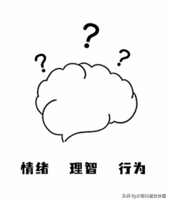是大脑控制你，还是你控制大脑呢？
