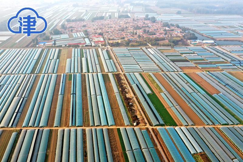 千与千寻,千问千寻大运河武清