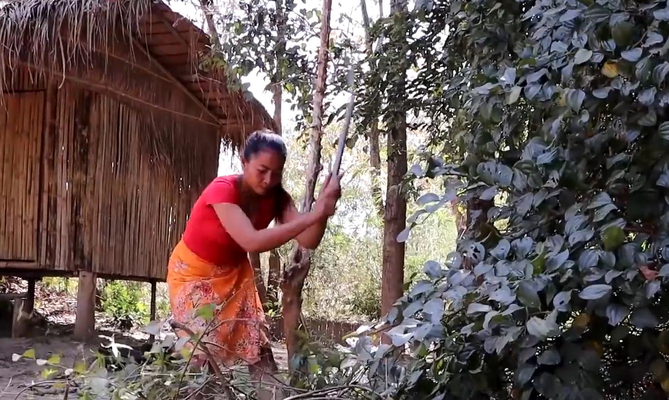 泰国经典美食烤蚂蚁,泰国特色蚂蚁蛋