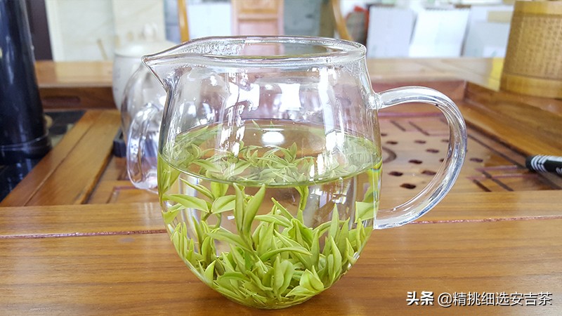安吉白茶口感特点,贵州产安吉白茶和安吉白茶的区别