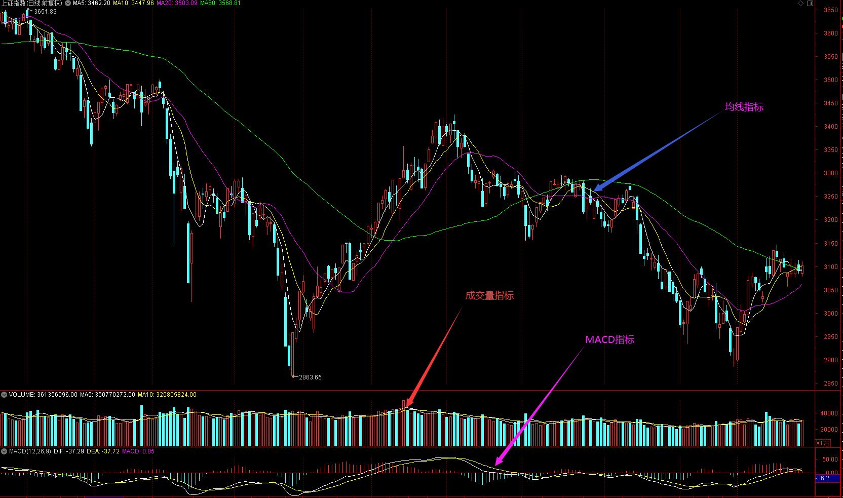 小散炒股记全文,小散炒股选牛股