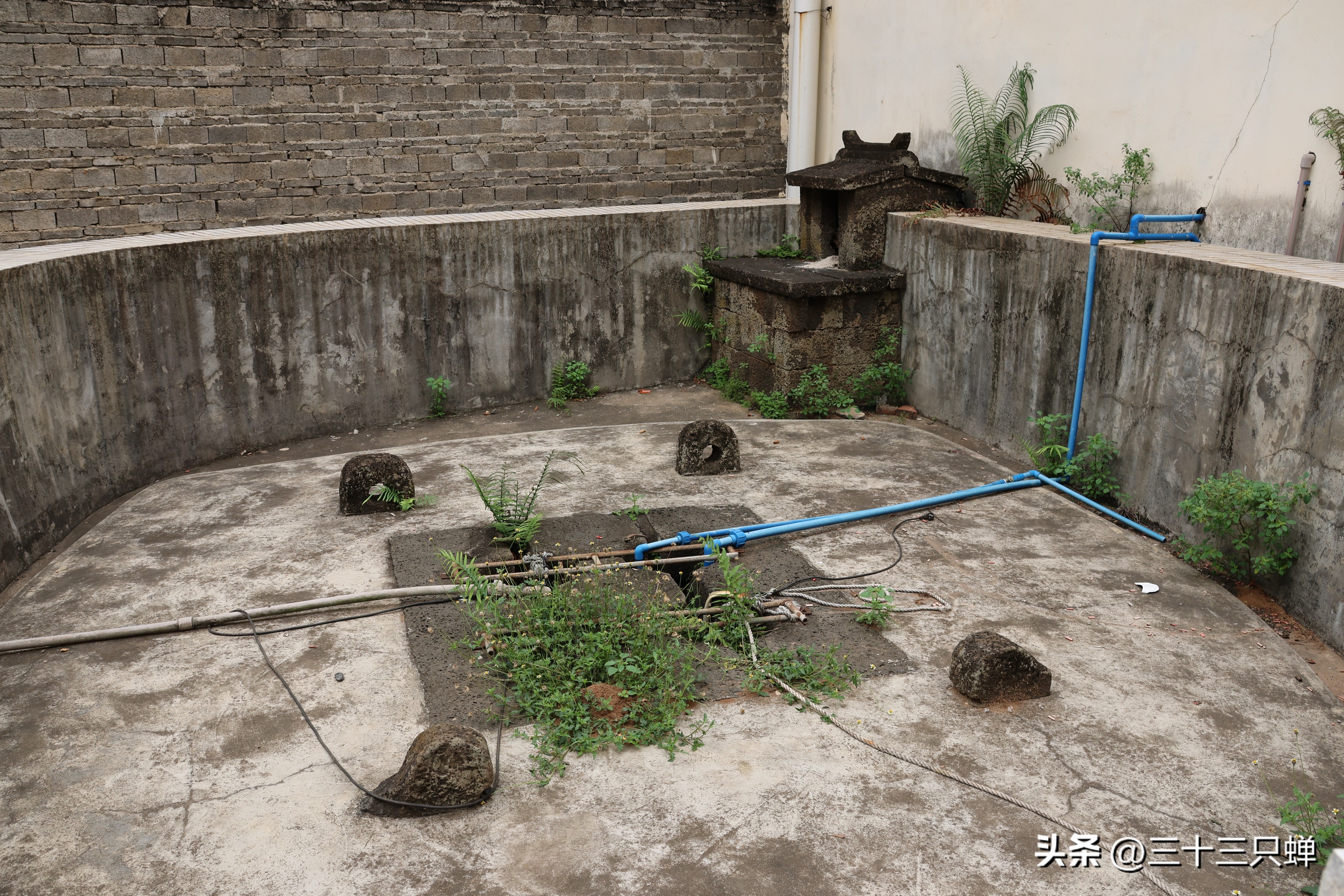 海口王氏宗祠在哪里,海口长流堂善村的人