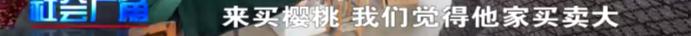 村里来了大老板？拿走50万樱桃不给钱！