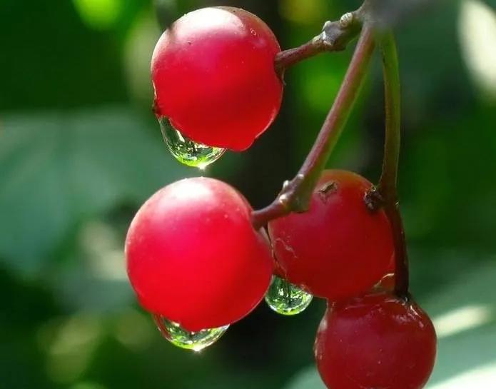 对联谜语大全摘抄,对联大全摘抄五言