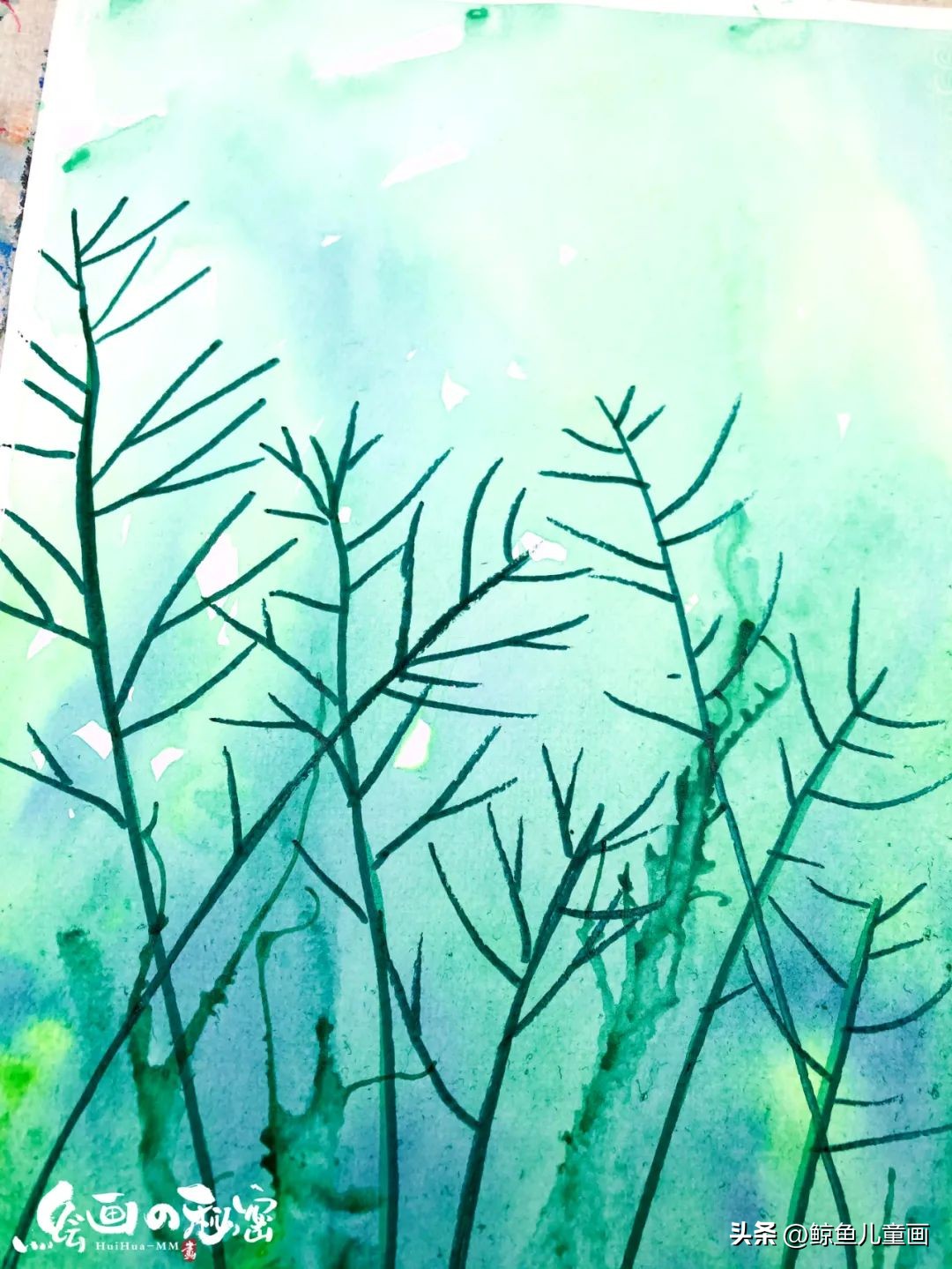 油菜花什么时候开,油菜花怎么拍照好看