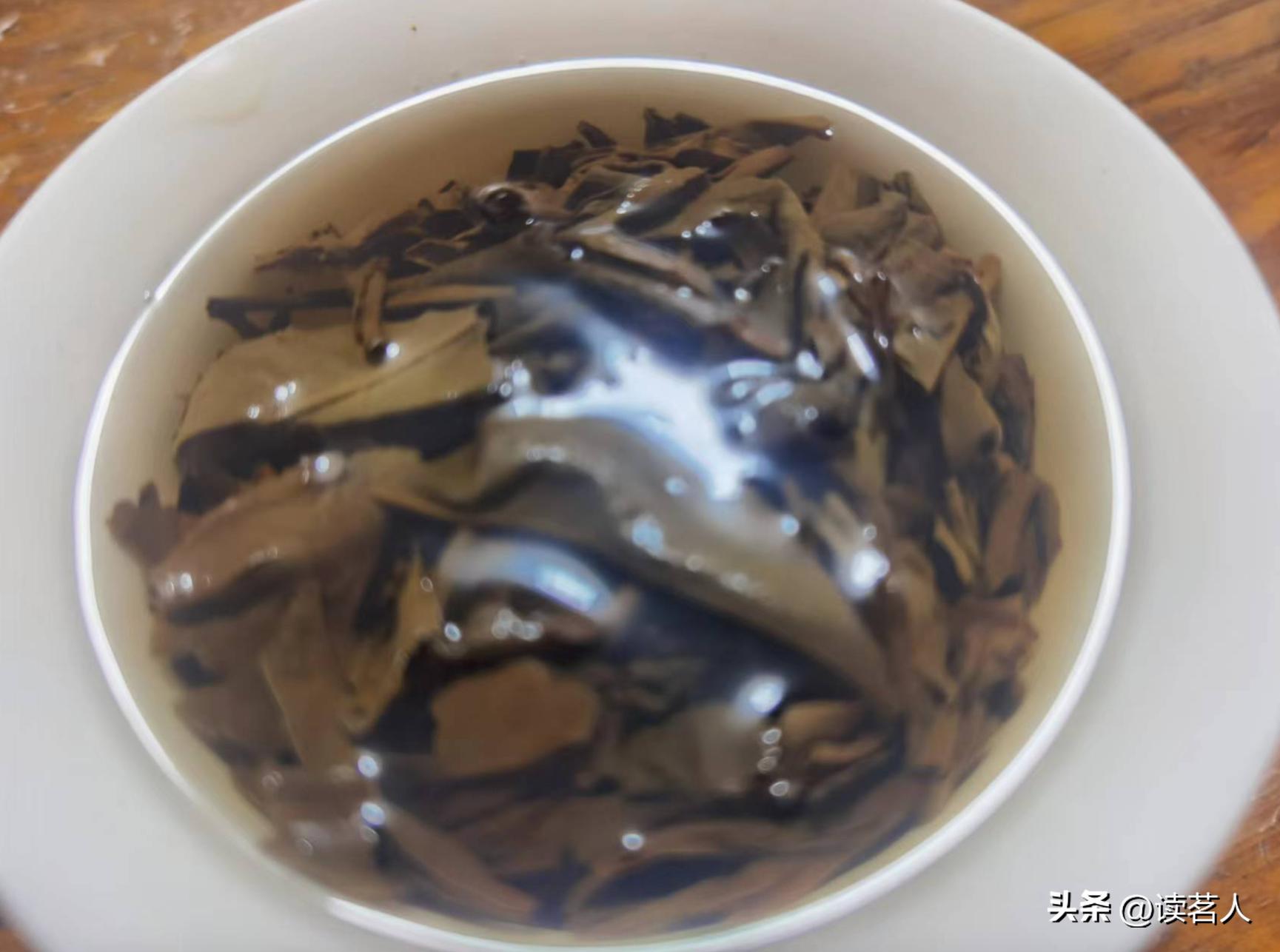 寻味云南普洱,寻味普洱生茶