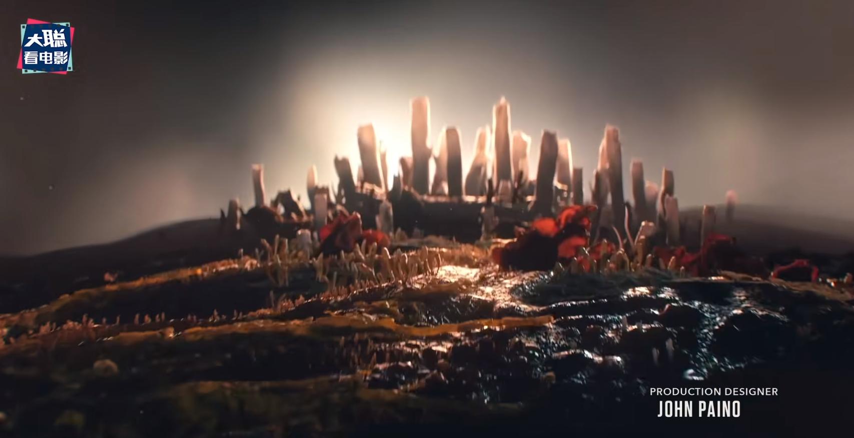 最后生还者第1集解说,最后生还者第1集