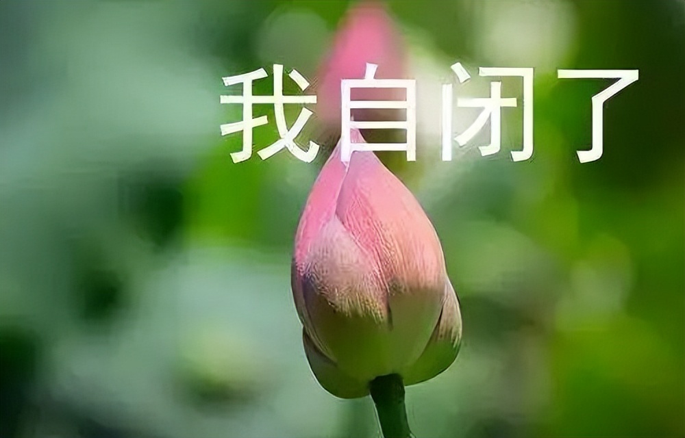 吃了促排卵药怀多胞胎,为了争宠吃催胎药