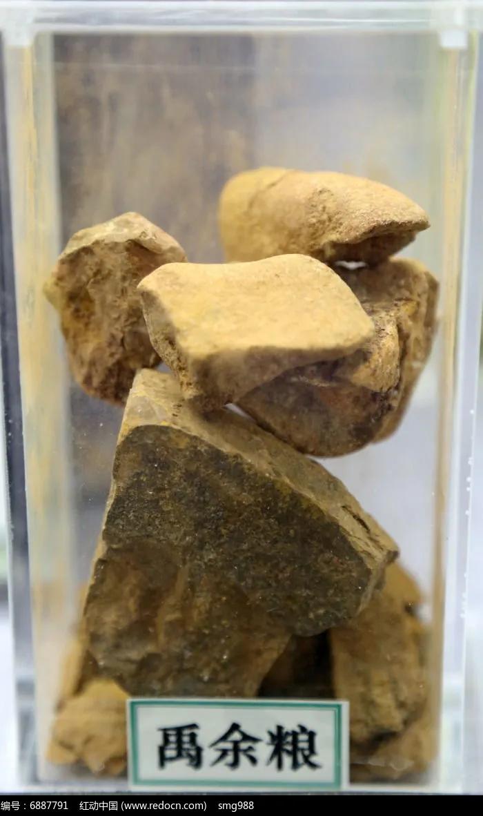 中药学敛肺涩肠药的功效,收涩效果最好的中药