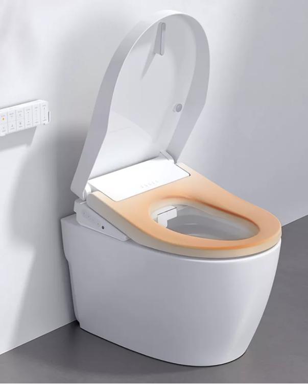 智能马桶让你上厕所无忧无虑,让所有人都用上智能马桶