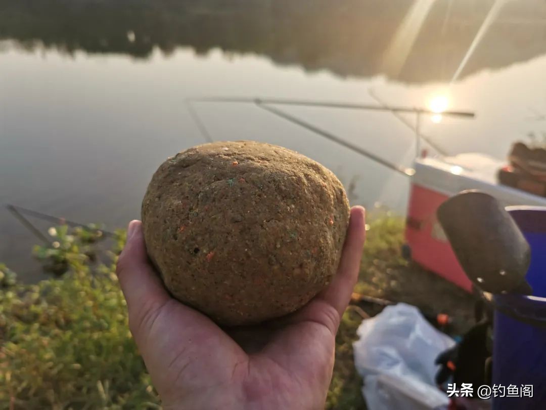 用什么办法可以让鱼快速的长大,一招让鱼开口