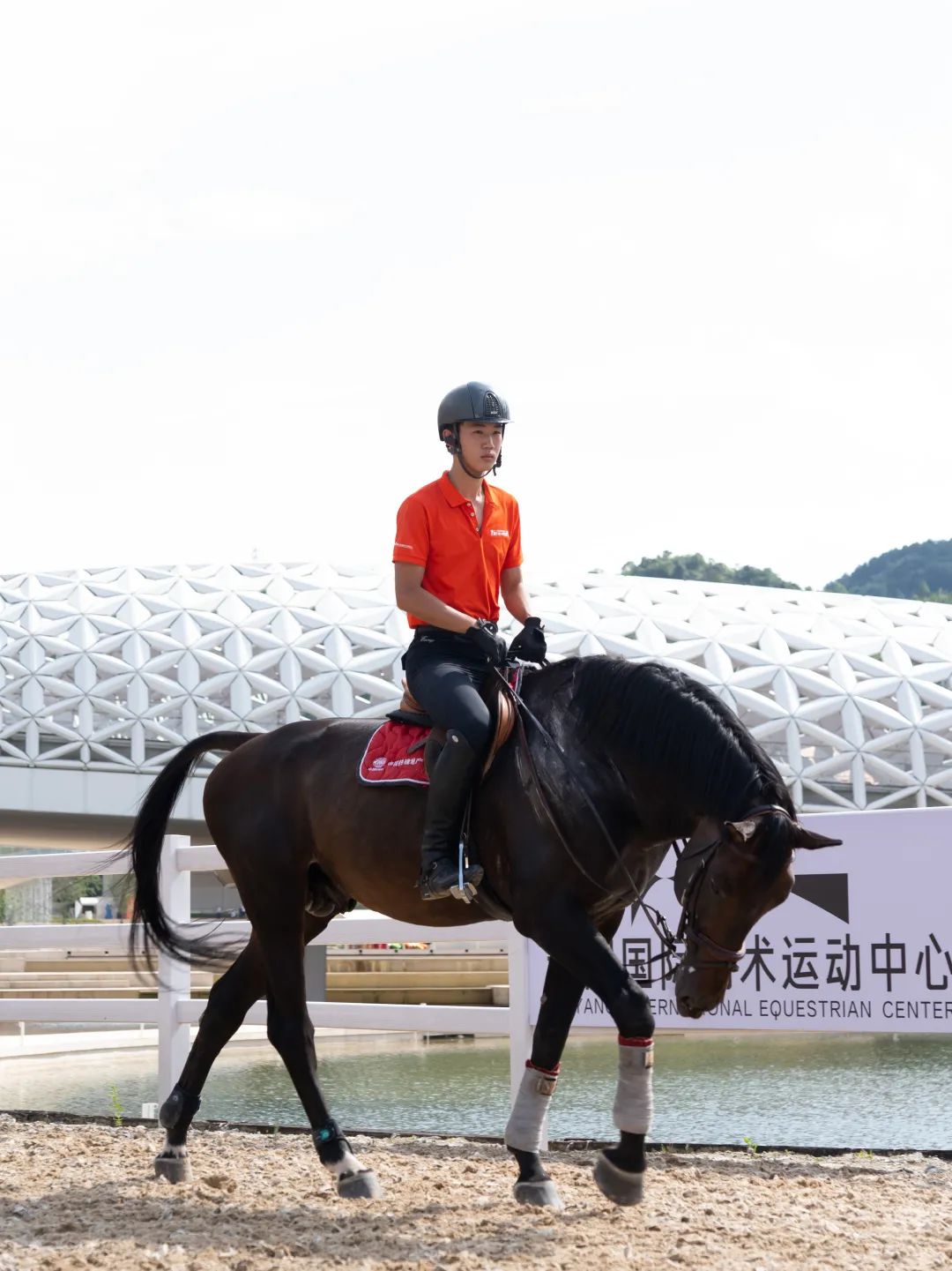 探索更适合青少年骑手的训练模式