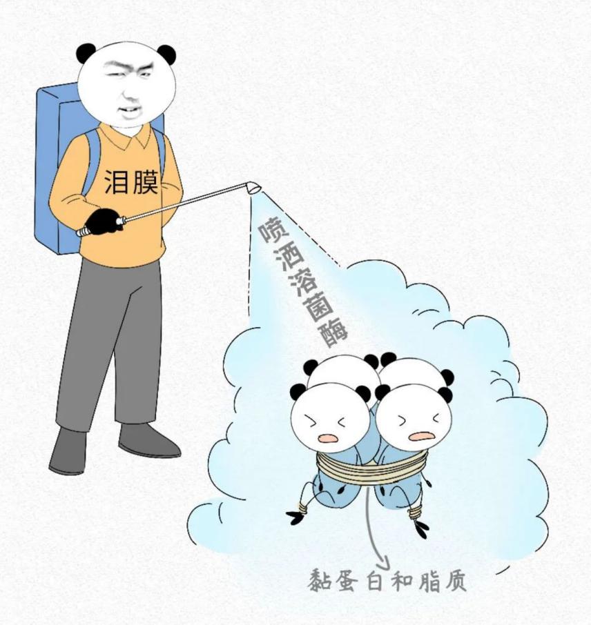 眼睛模糊揉揉就好了是怎么回事,眼睛里进了脏东西揉没有了去哪了