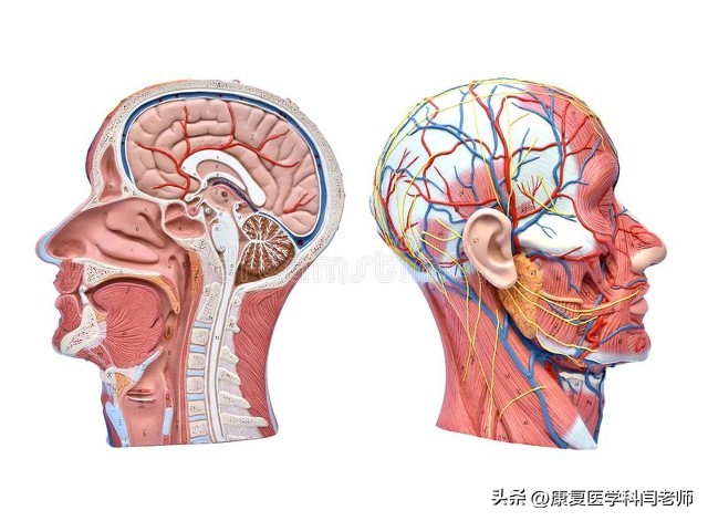 偏瘫言语康复训练,脑中风的语言康复训练方法