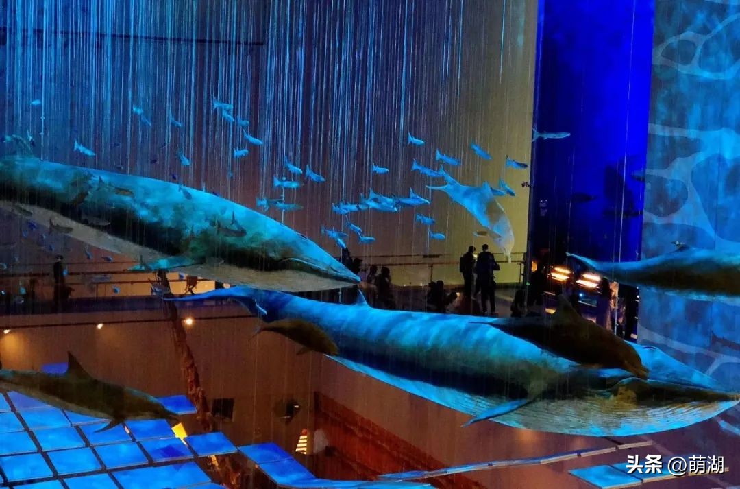 夏天去广州旅游攻略一天,广州旅游攻略一天一夜自由行