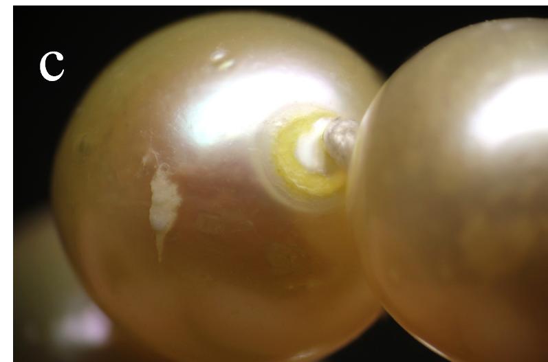 金色染色珍珠的鉴别方法,海水珍珠akoya鉴别方法