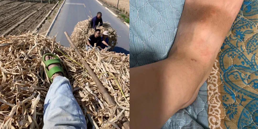 95后女大学生辞职返乡种地,95后女生返乡创业养鹅