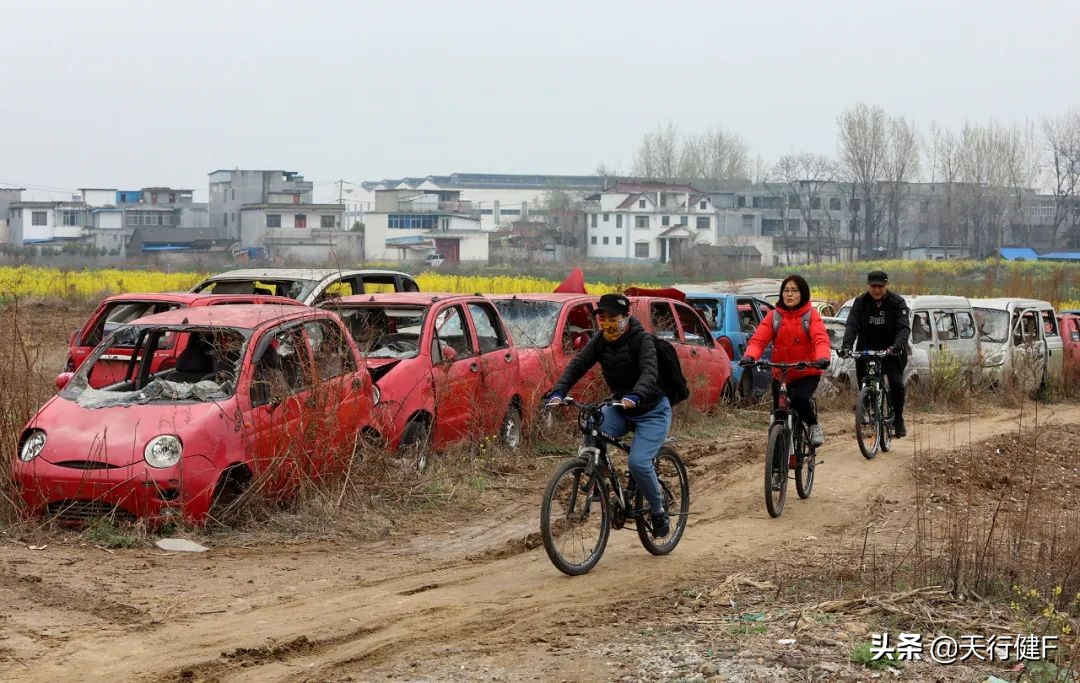 汽车投稿作品欣赏,汽车征文获奖