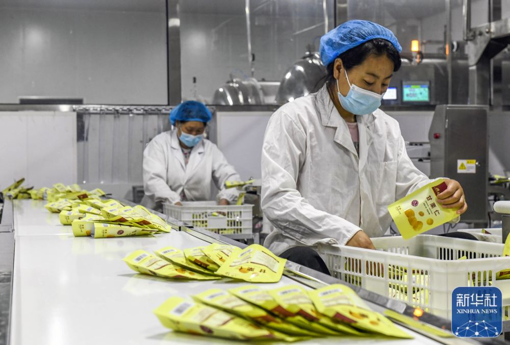 遵化市农产品加工,遵化农产品加工忙