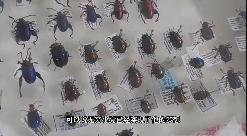 无穷小亮科普账号,无穷小亮推荐的科普博主