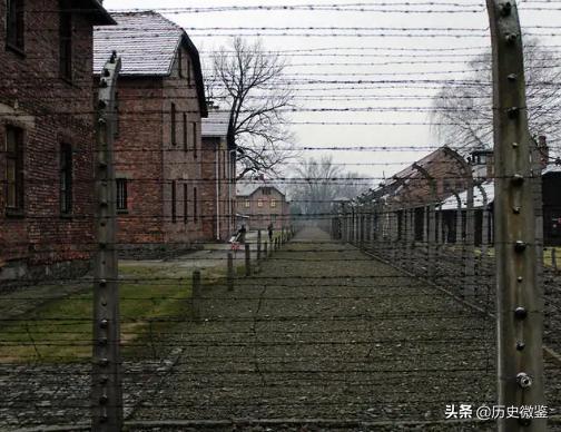 46年毛岸英回国，问父亲认不认识赤英，毛主席听后立即派人喊*德朱**