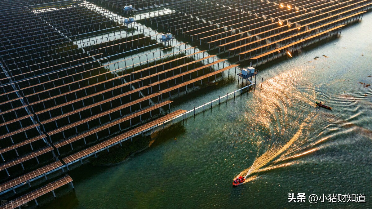 光伏topcon领域迎突破26%,光伏TOPCON产业链需求井喷