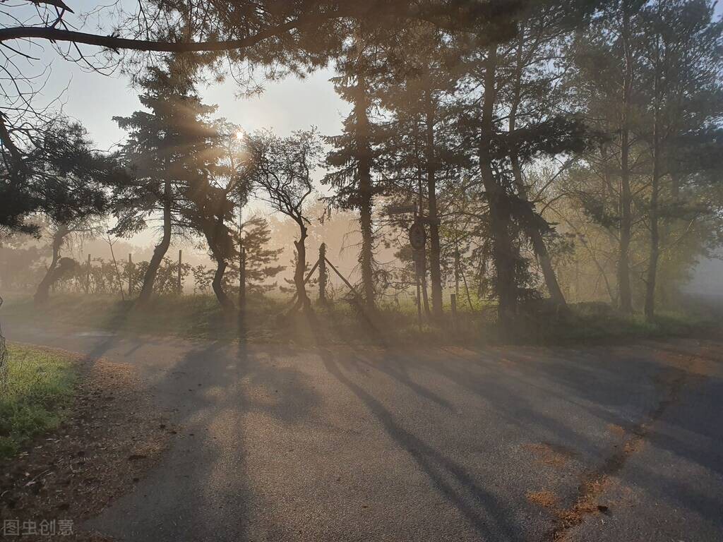 她做保姆这些年豪门生活1,她做保姆的这些年豪门生活之十一