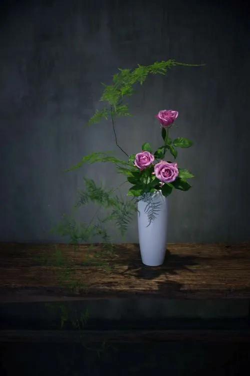 一天一首古诗词佚名,一天一首精美诗词