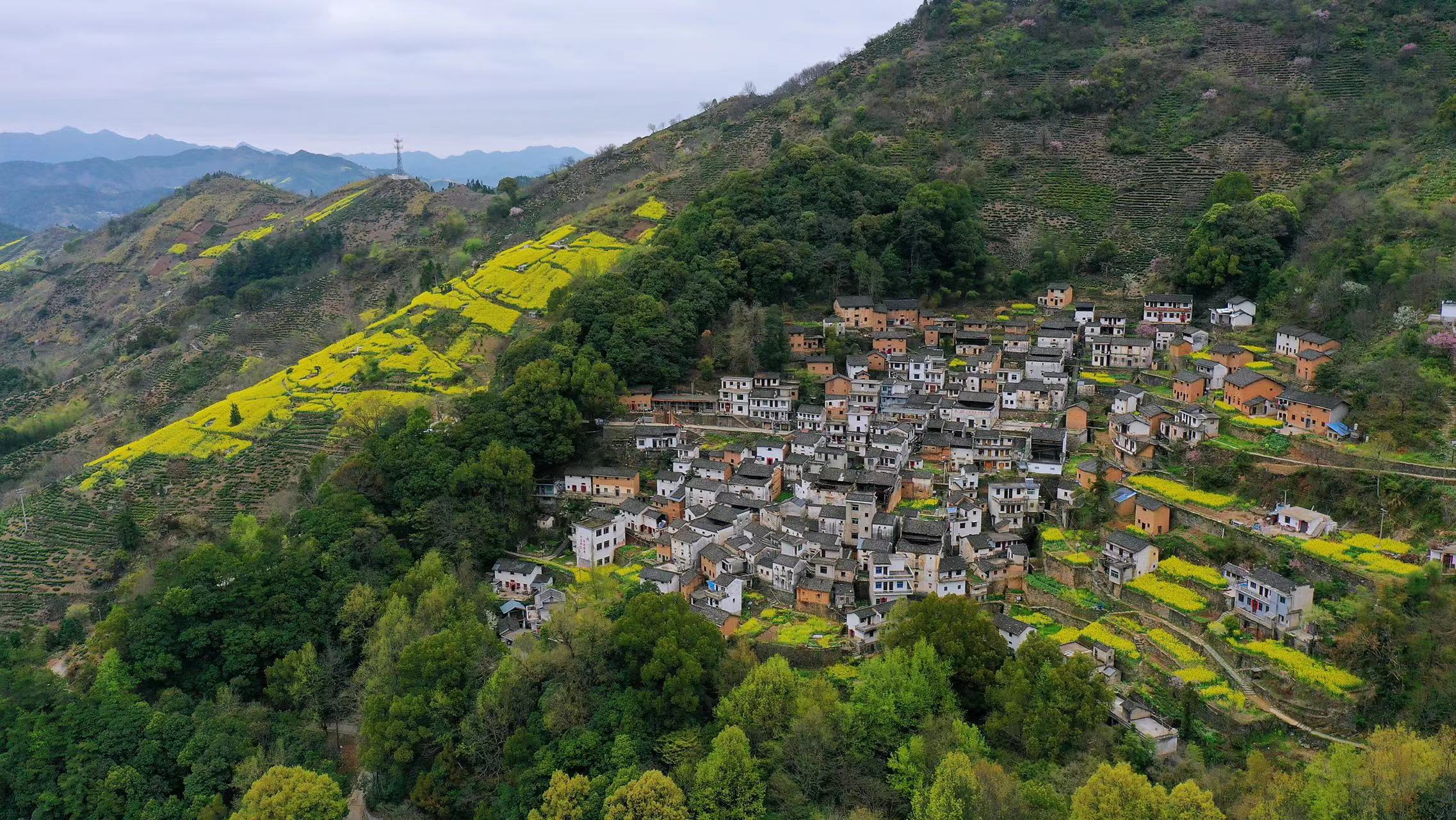 黄山适合隐居的民宿,真实的黄山古村落