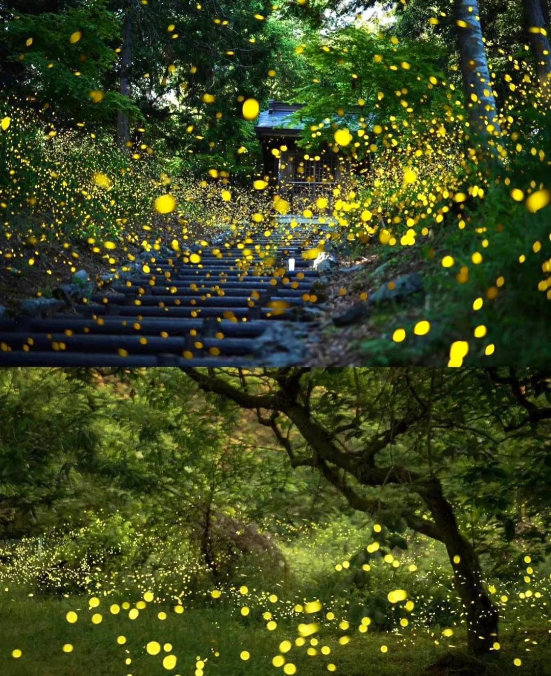 日本小众出行仿佛一脚进入梦幻油画世界！