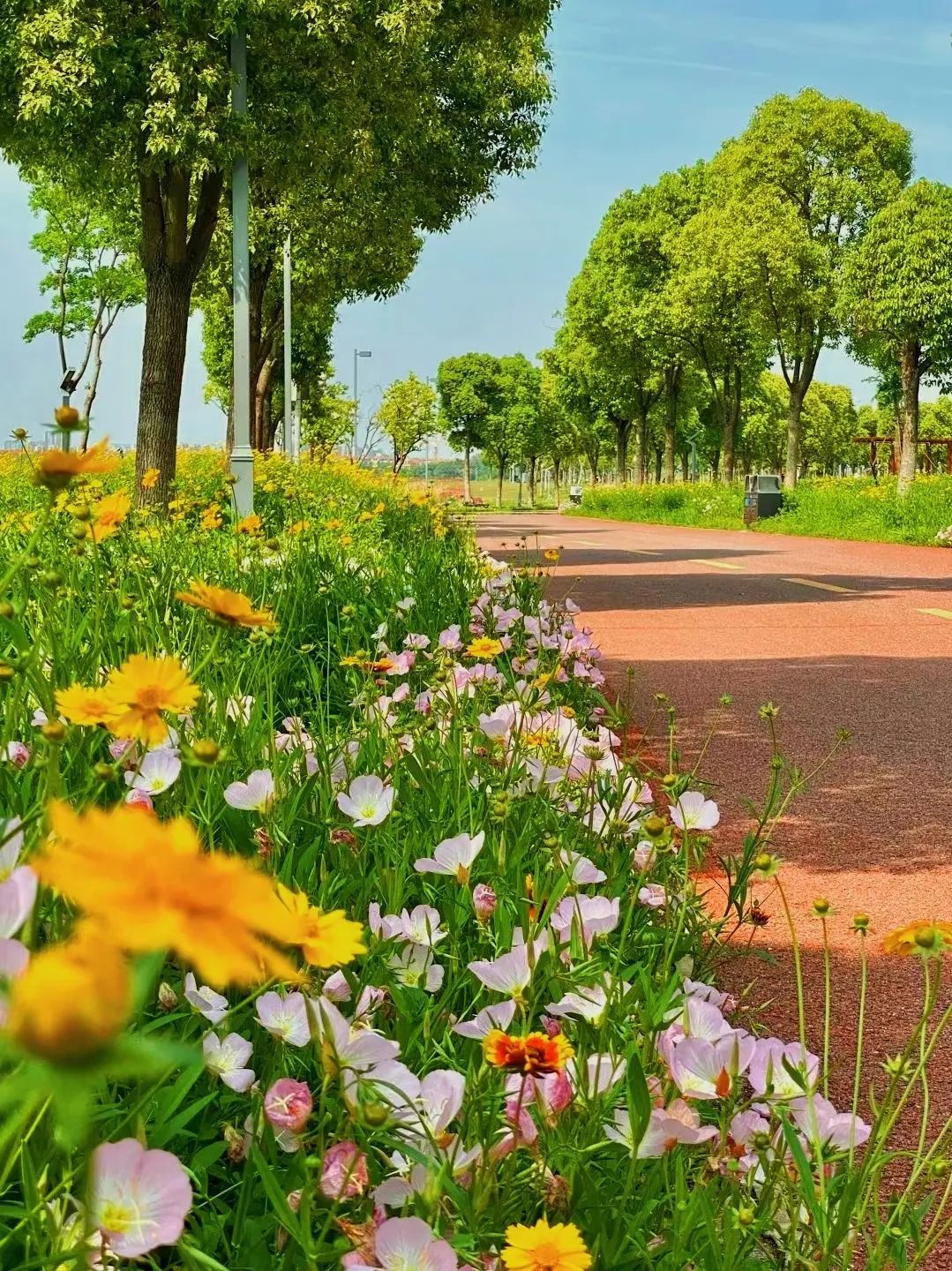 散步、慢跑、骑行……快来打卡车谷这些“高颜值”绿道