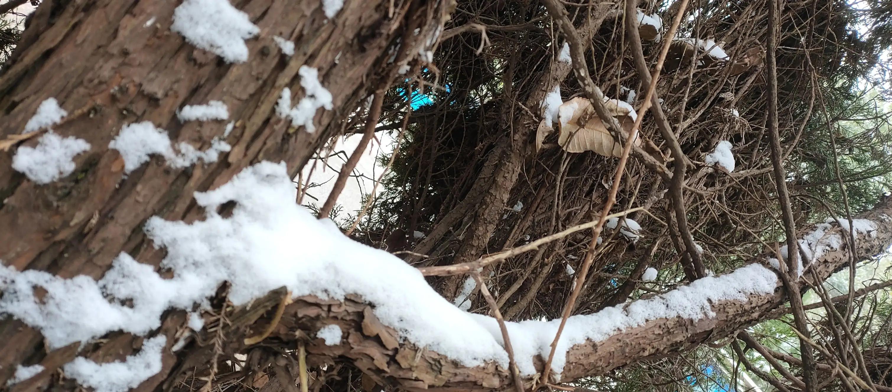 闄や簡閯欒杩樻槸閯欒,娌夐粯灏辨槸閯欒