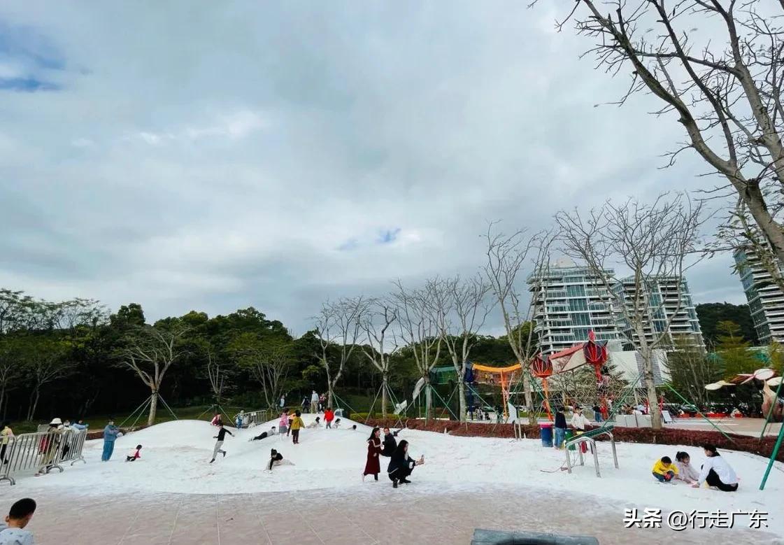 深圳新开放的海边游乐场，免费畅玩，带上孩子一起度过欢乐时光！
