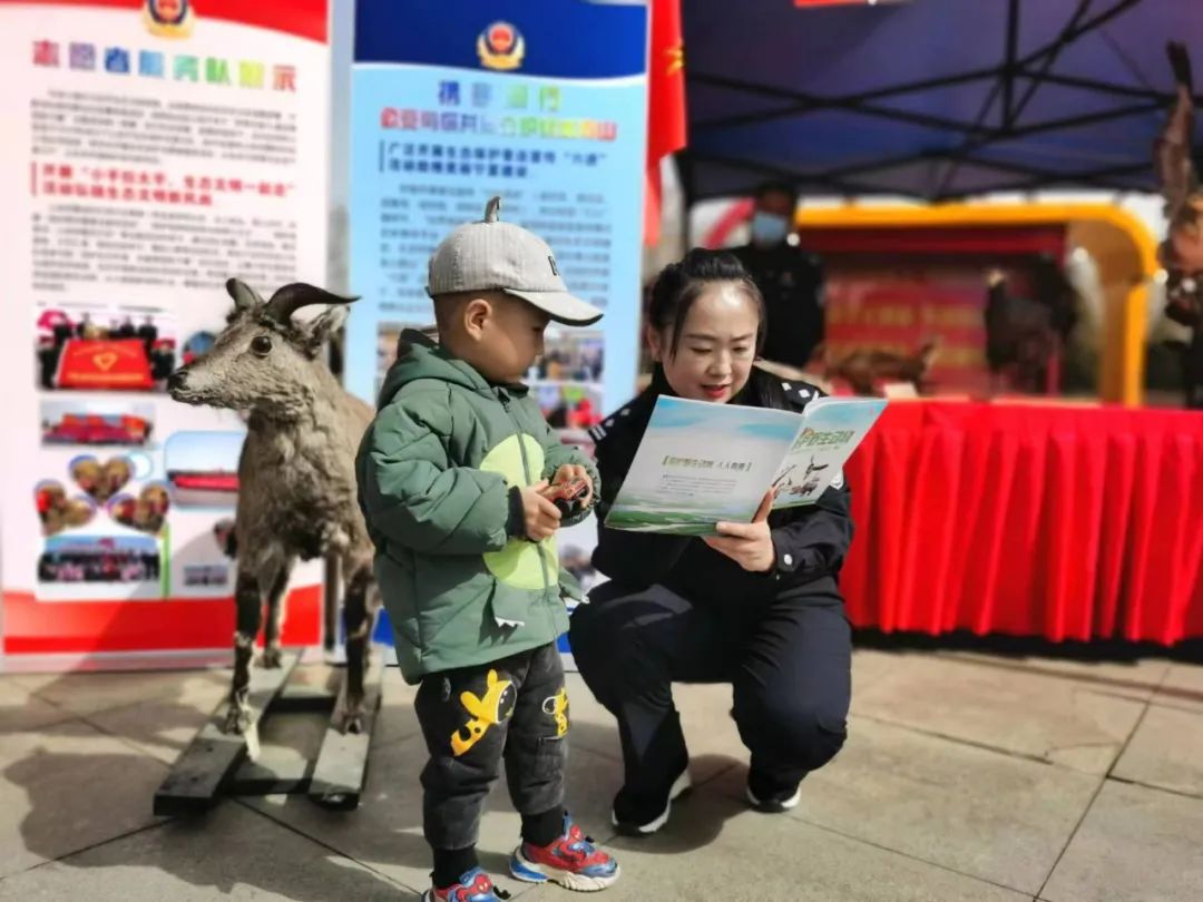 公安传承雷锋精神凝聚奋进力量,森林公安工作的初心