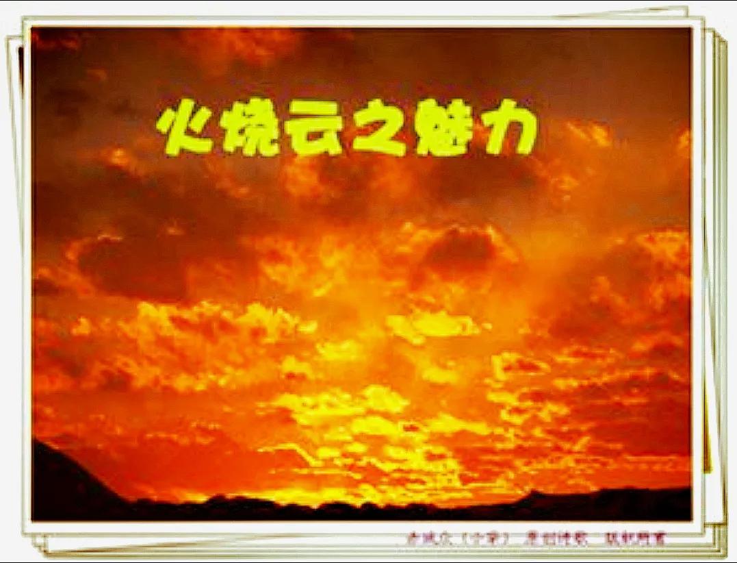 转载：张俊杰博文：“一粒种子”及小牮感言