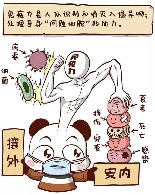 过敏体质是免疫力低还是免疫力高,过敏体质到底是免疫力强还是弱