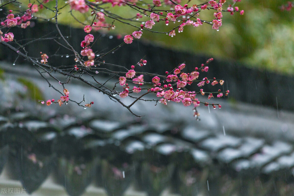 一生花里蝶翩翩，愿得群芳在眼前，8首古诗，细味古人的生活意趣