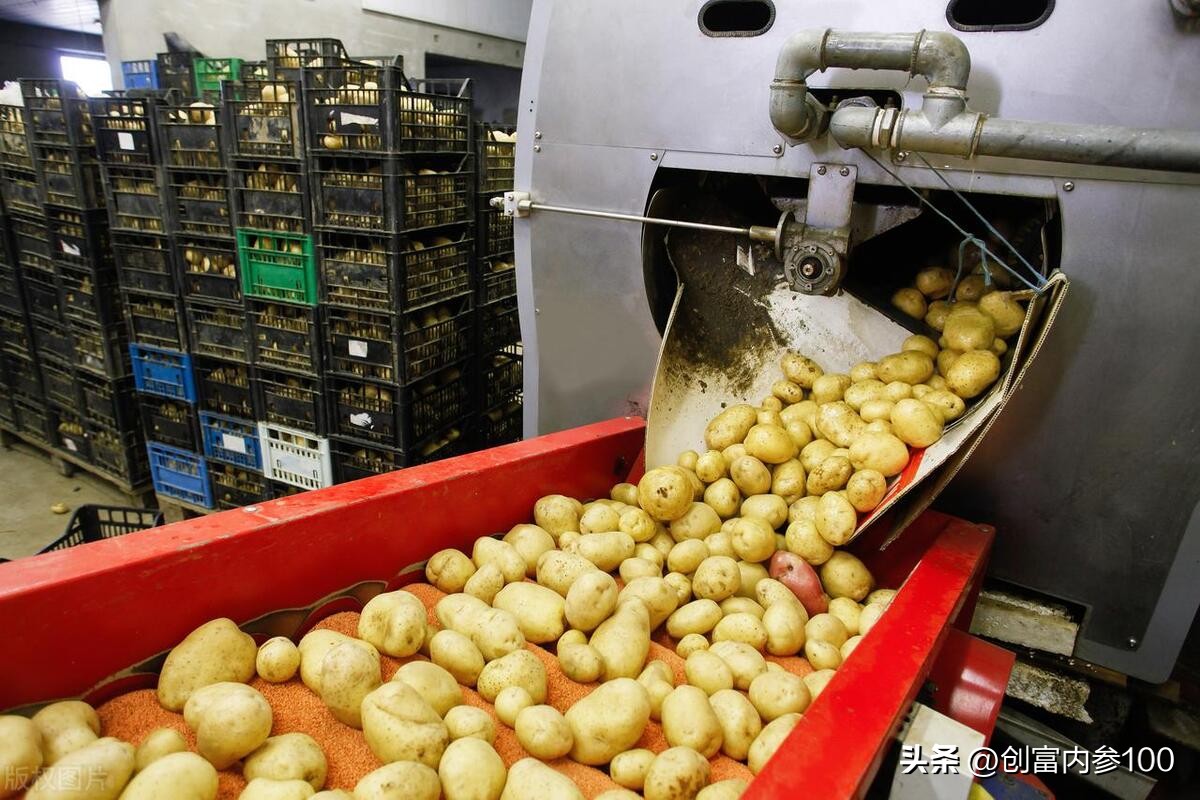 玉米淀粉深加工企业利润靠什么,创富内参100