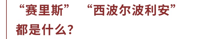 歪果仁可爱称呼,歪果仁称呼