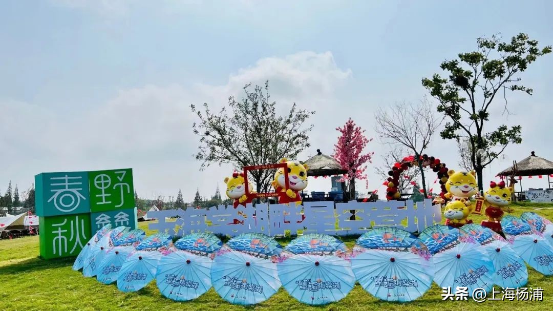 找到一处绝佳完美露营地,强烈推荐露营地