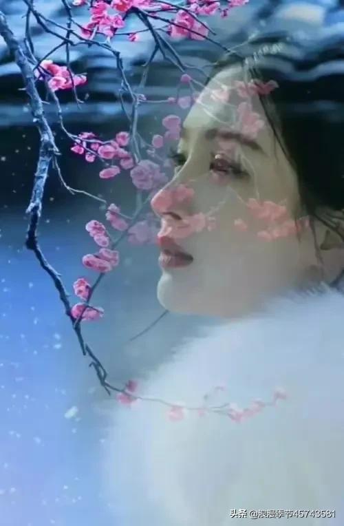 最美人间四月天散文,最美人间四月天的散文