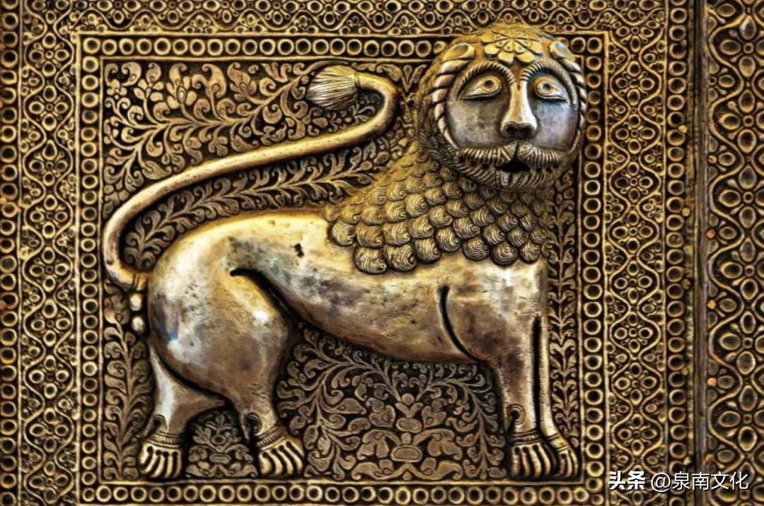 解析狮子语言,讲解狮子的视频