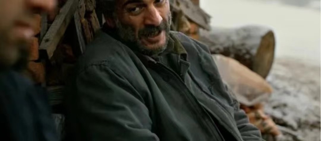 野梨树完整版免费观看,关于野梨树的电影