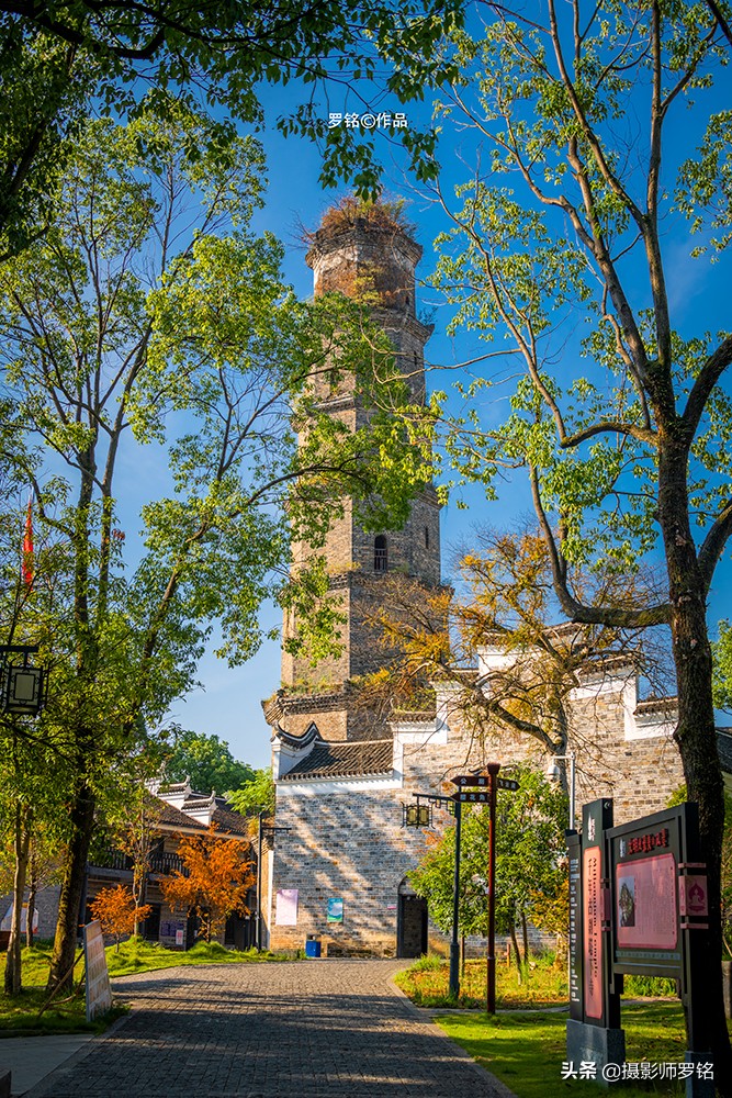 永州之野田园综合体,永州之野农产品