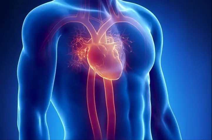 一感冒就胸闷气短是心肌炎吗,发烧不要慌