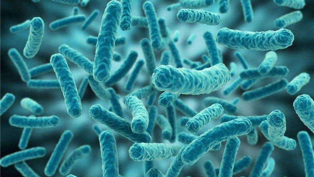 南极发现远古病毒人类如何应对,北极新发现了远古病毒吗